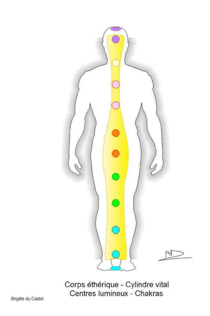 J'observe chez l'humain, que la couleur qui colorise les différentes structures de l'Aura, provient du "Cylindre vital" et de ses différentes ouvertures.